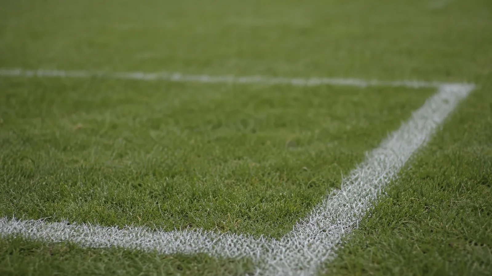 Markierte Coaching Zone an der Seitenlinie